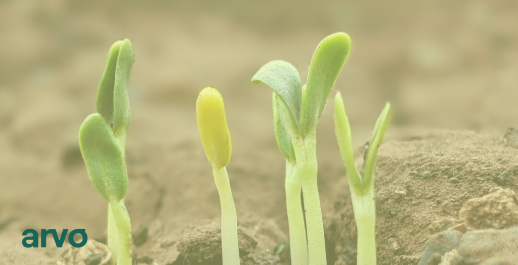 WOTC Credits Continue to Grow Year-After-Year