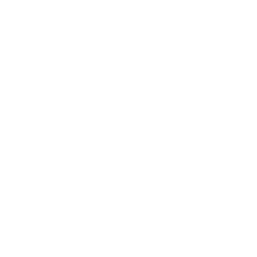 C-suite vision_icon